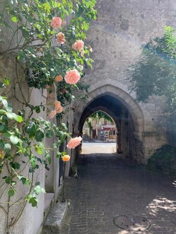 Maison Jeanne d’Arc Mennetou-sur-Cher Extérieur photo